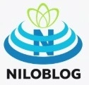 خدمات کامپیوتری رویا